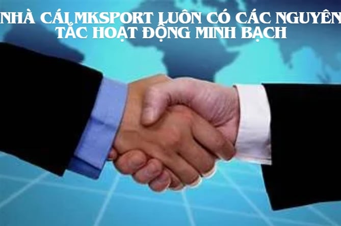 Nhà cái Mksports luôn có các nguyên tắc hoạt động minh bạch